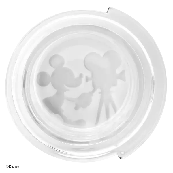 Disney 100th Celebration - Scentsy replacement dish