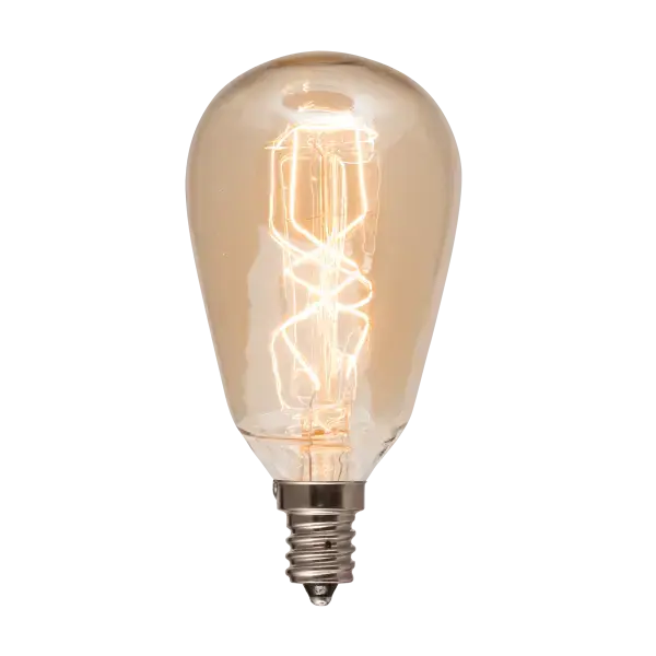 40 Watt Edison Light Bulb