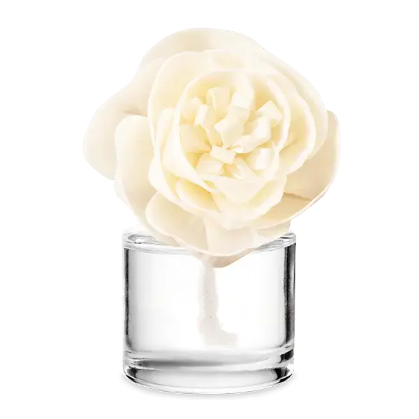 Amazon Rain - Buttercup Belle Fragrance Flower