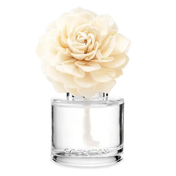 Amazon Rain - Dahlia Darling Fragrance Flower