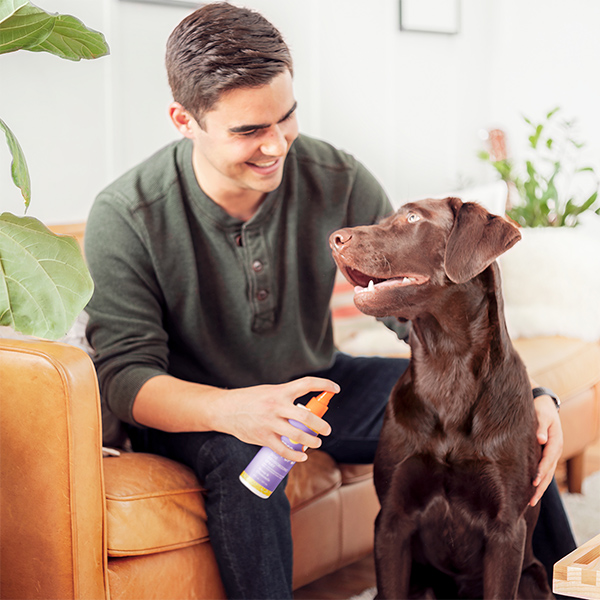 Honey & Chamomile No Knot Spot Dog Detangling Spray