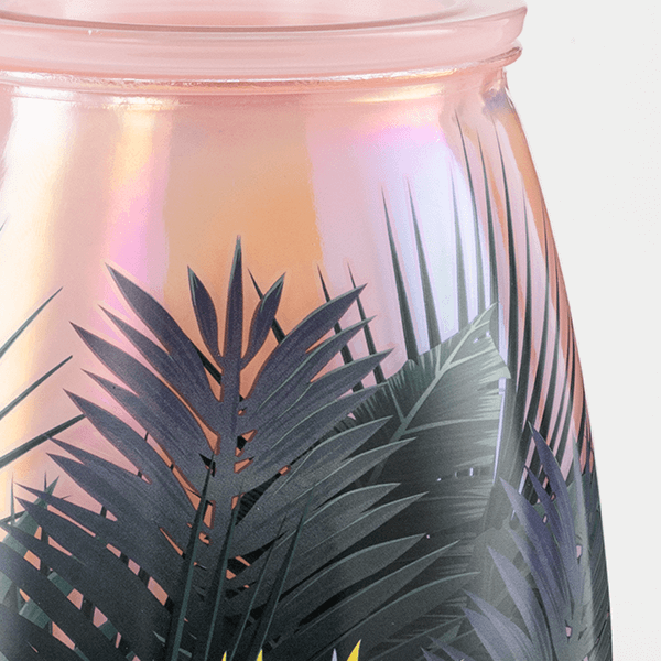 Birds of Paradise Warmer