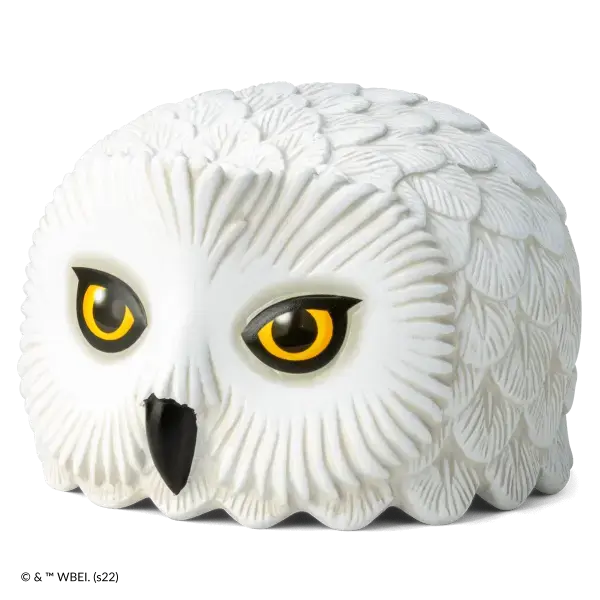 Hedwig™ - Scentsy Warmer Replacement Lid