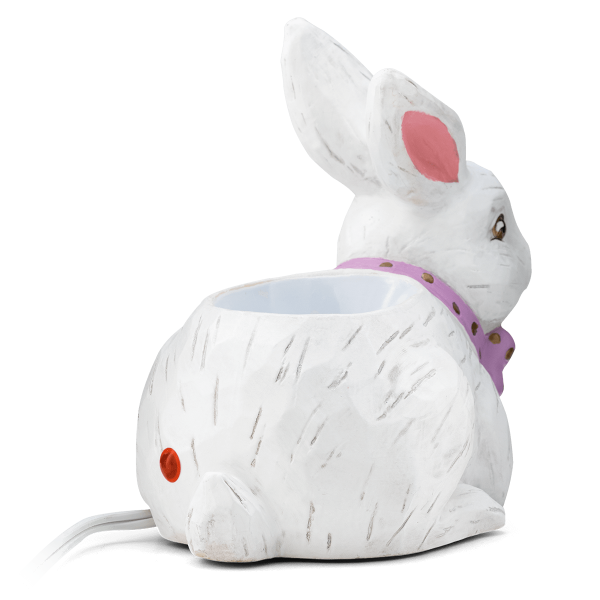 Hoppy Easter Warmer