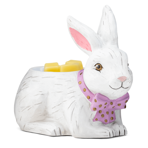 Hoppy Easter Warmer