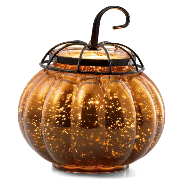 Starry Pumpkin Warmer