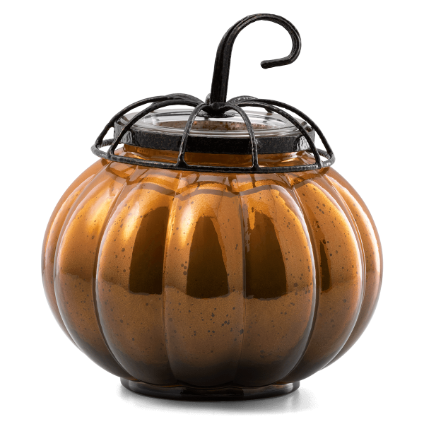 Starry Pumpkin Warmer