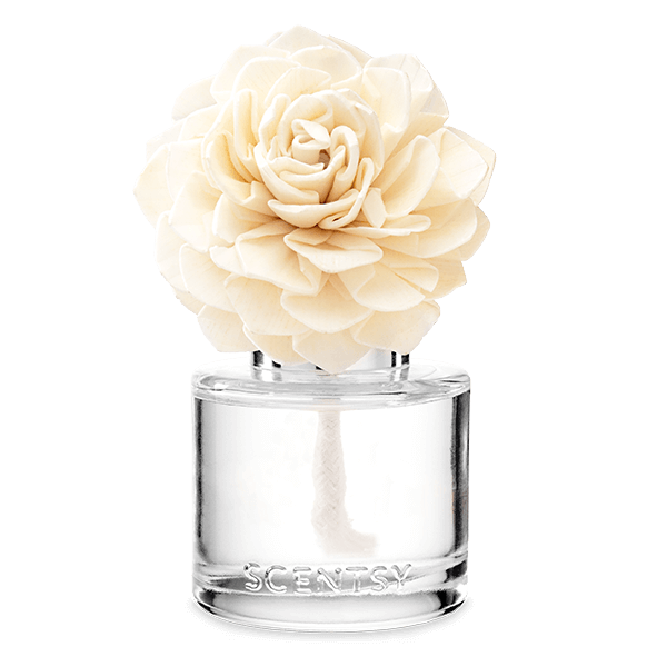 Luna - Dahlia Darling Fragrance Flower