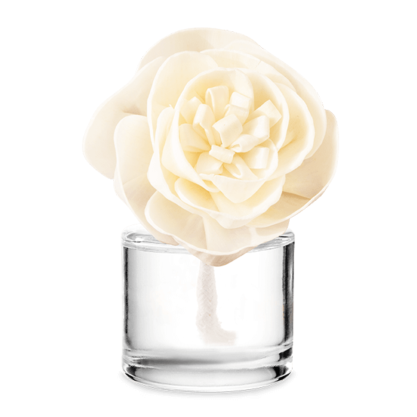 Vanilla Bean Buttercream - Buttercup Belle Fragrance Flower