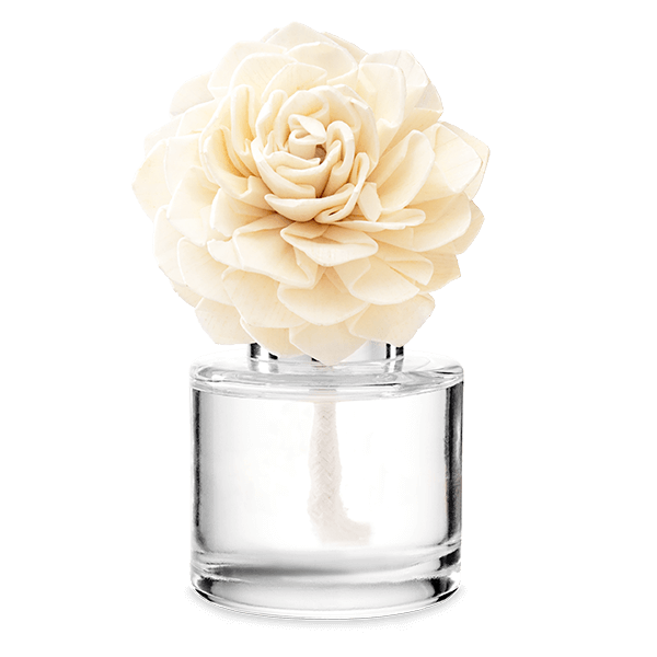 Vanilla Bean Buttercream - Dahlia Darling Fragrance Flower