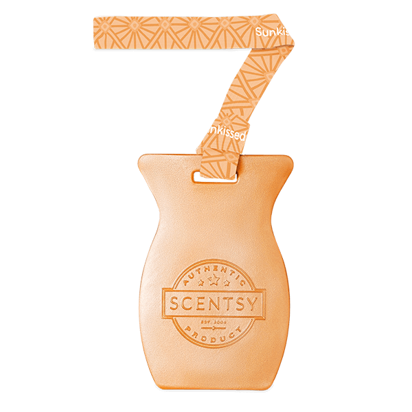 Sunkissed Citrus Scentsy Car Bar